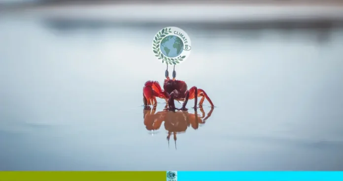 লাল কাঁকড়ার রাজত্ব
