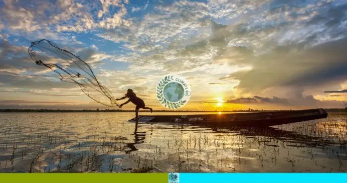 নিষিদ্ধ জালের ছড়াছড়ি