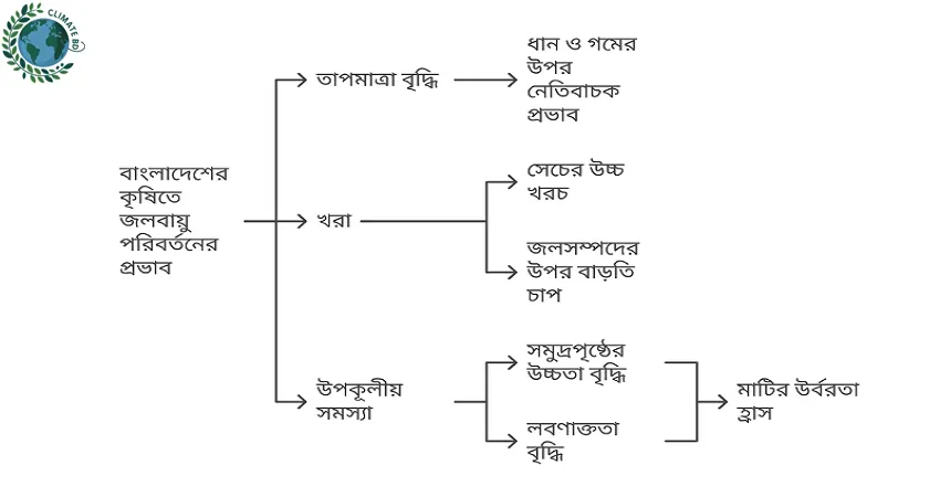 ফসলের উৎপাদন