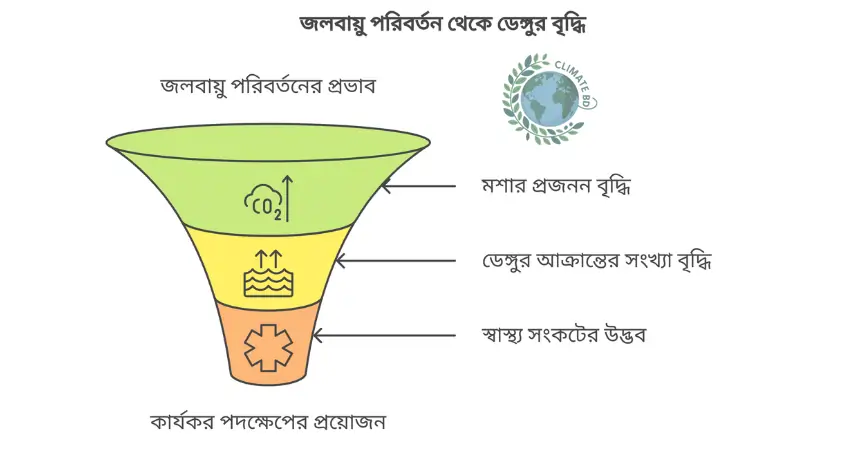 বৃষ্টির অভাবেও কেন বাড়ছে ডেঙ্গু