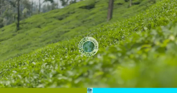 টিলা ধ্বংস বনাম উন্নয়ন