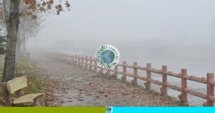 শৈত্যপ্রবাহ