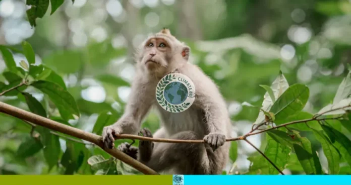অসুস্থ বানরের মৃত্যু