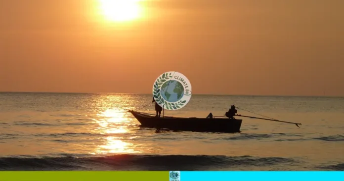চলনবিলের মাছ ধরার উৎসব