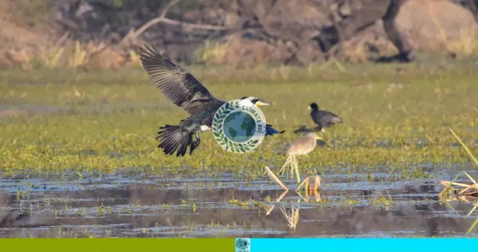 নোবিপ্রবি ক্যাম্পাস