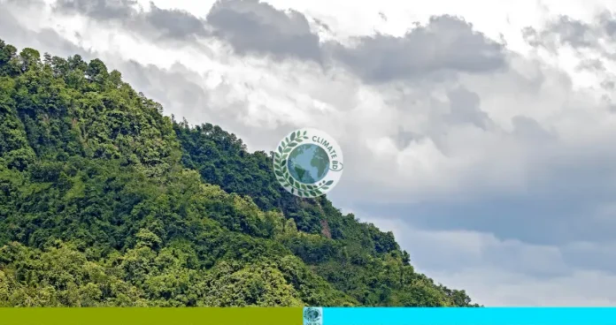 পাহাড় কাটার বিরুদ্ধে যুদ্ধ