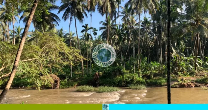 খরস্রোত বৃদ্ধি