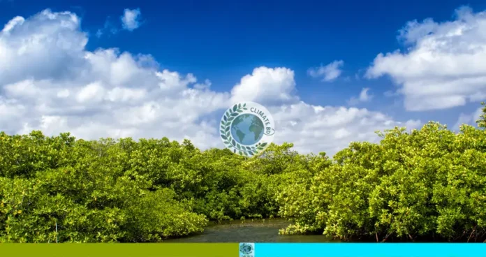 সুন্দরবন বিষের কবলে