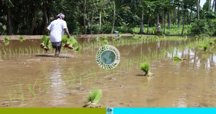 জলবায়ু পরিবর্তনের প্রভাব