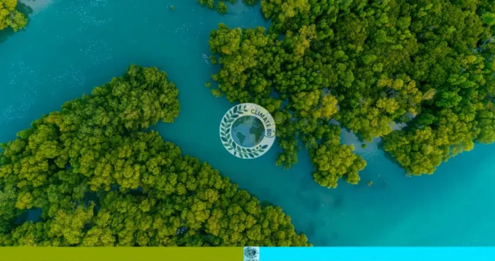 থার্টি ফার্স্ট নাইট উদযাপন