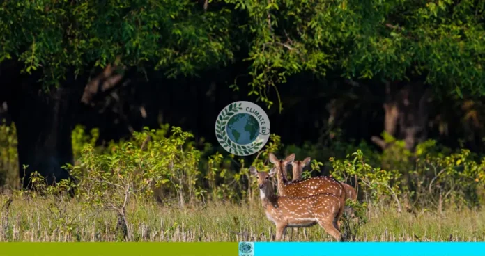 হরিণ শিকার ও বন ধ্বংস