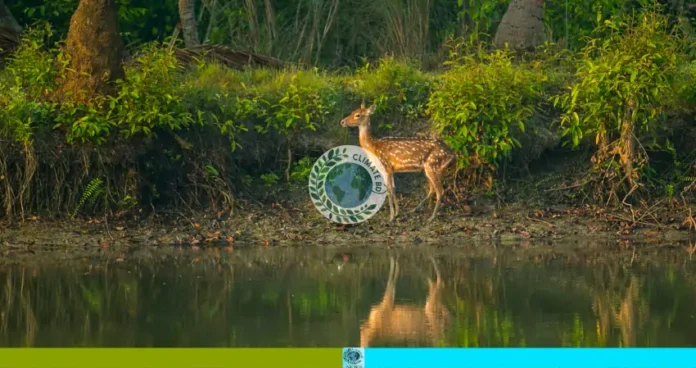 নিঝুম দ্বীপ