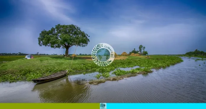 পাখি শুমারি