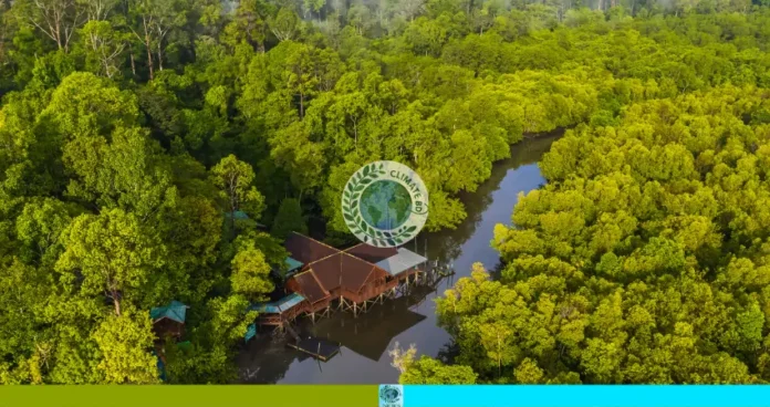 সমুদ্রপৃষ্ঠের উচ্চতা বৃদ্ধির ধাক্কায় সুন্দরবন বিপন্ন