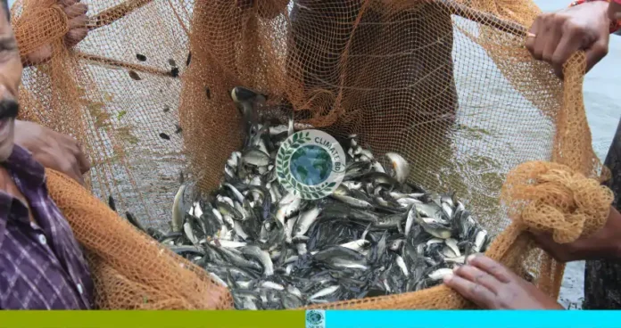জলবায়ু সহনশীল মাছচাষের
