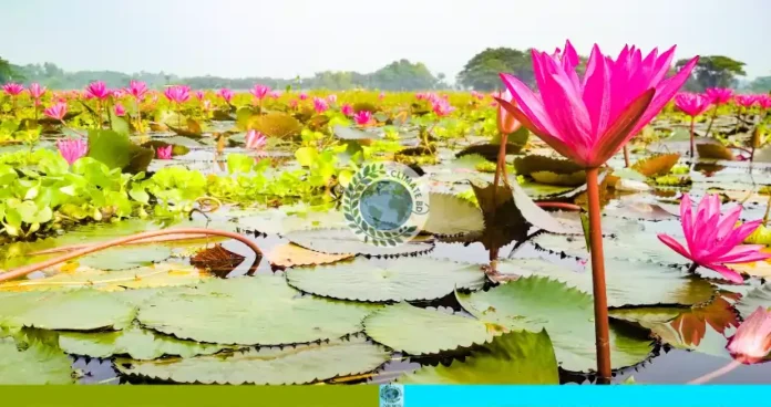 বাইক্কা বিলের জীববৈচিত্র্য