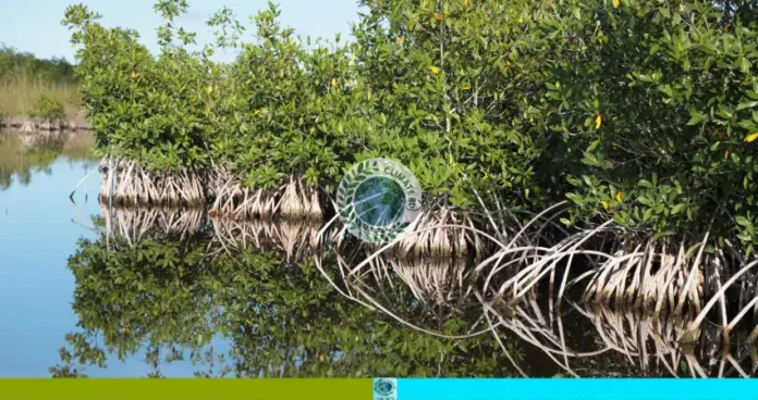 পর্যটন স্পটে সিগারেট বিক্রির