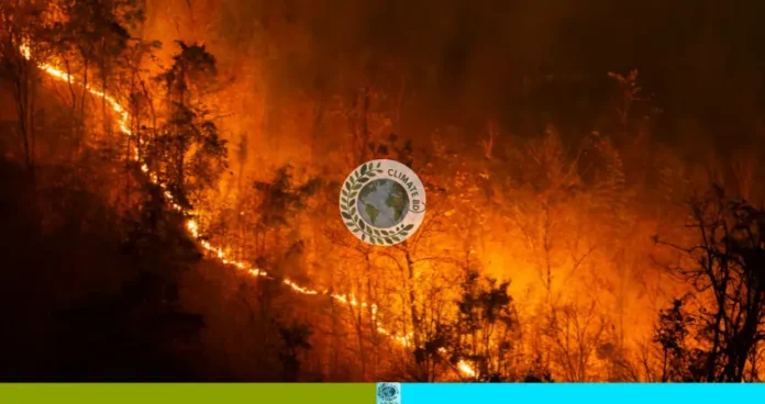 পুড়ল বিস্তীর্ণ সংরক্ষিত বন