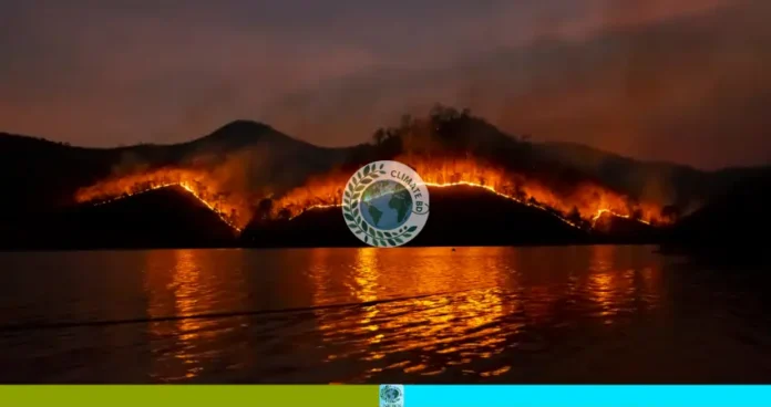 জাপানে দাবানলে পুড়ল ৮০ ভবন