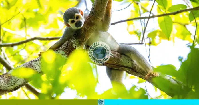 পর্যাপ্ত খাদ্য ও পানি নেই