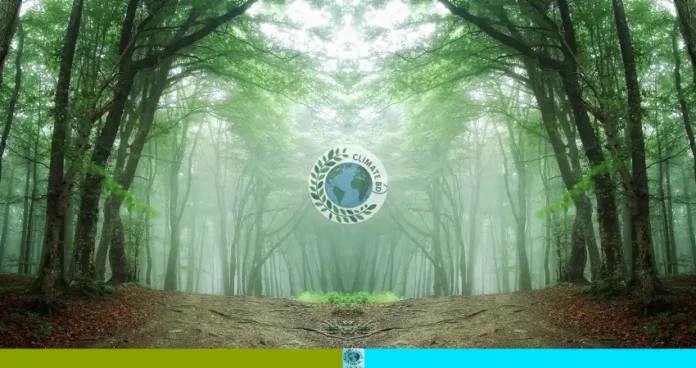 বন পাহারায় ২৮ নারীর সংগ্রাম