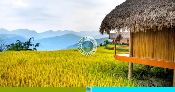 মুনলাইপাড়া
