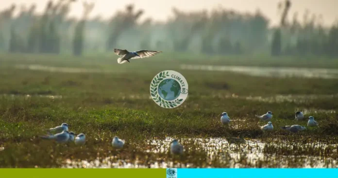 রামগড় চা বাগানের পাখিদের অভয়াশ্রম