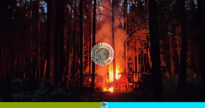 সুন্দরবনে আবারও আগুন