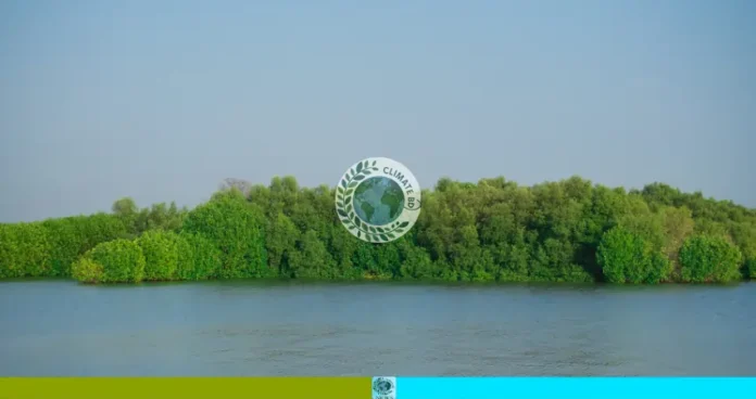 সোনাদিয়া ৯ হাজার একর জমি বন বিভাগে