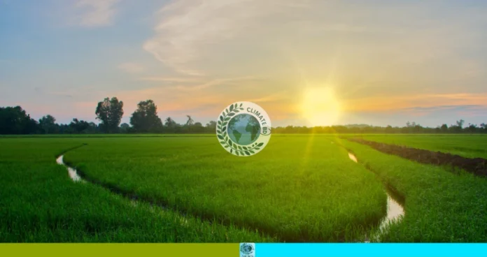আত্রাইয়ের চরে কৃষির জাগরণ
