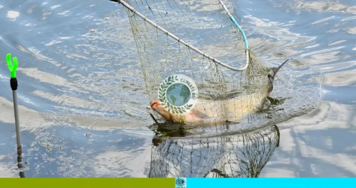 জাটকা সংরক্ষণ সপ্তাহ