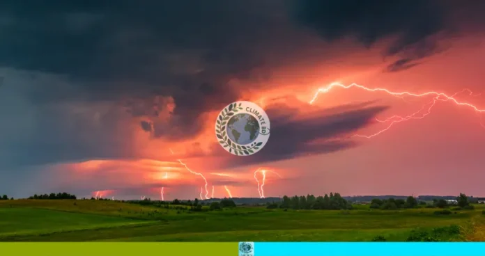 পাঁচ জেলায় ১১ প্রাণহানি