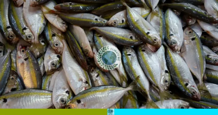 হারিয়ে যাওয়া গোটালি