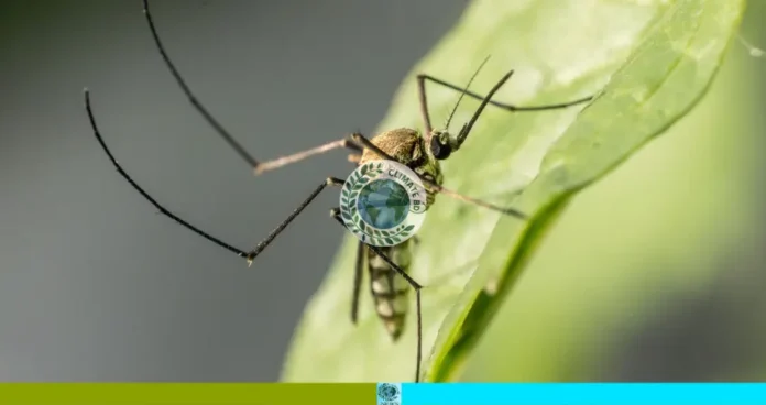 দরজা-জানালা বন্ধ রাখুন
