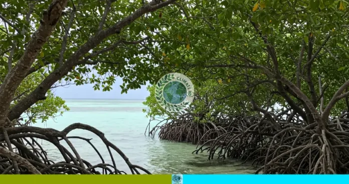 কেন জরুরি ছিল এই পদক্ষেপ
