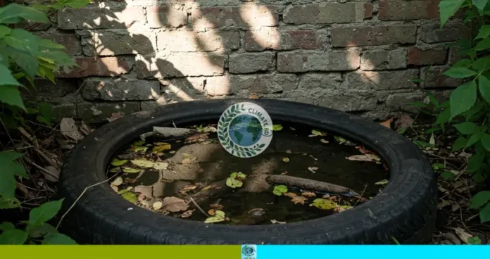 ডেঙ্গু আতঙ্ক তুঙ্গে