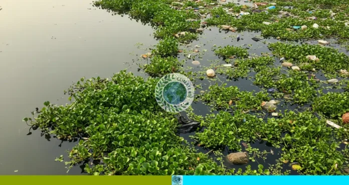 ৩০ কোটি জলে