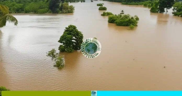 বন্যা ও বেড়িবাঁধের ফাটল