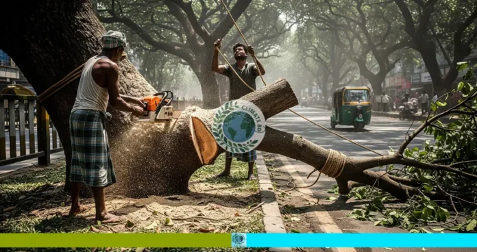কোথায় গেল ১৩ লাখ গাছ