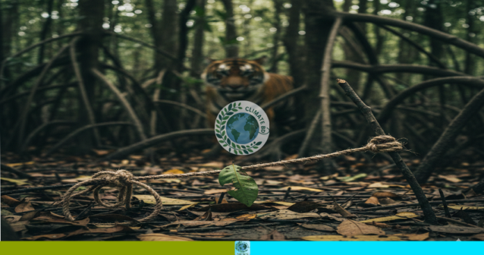 বন্যপ্রাণীর অস্তিত্ব সংকটে